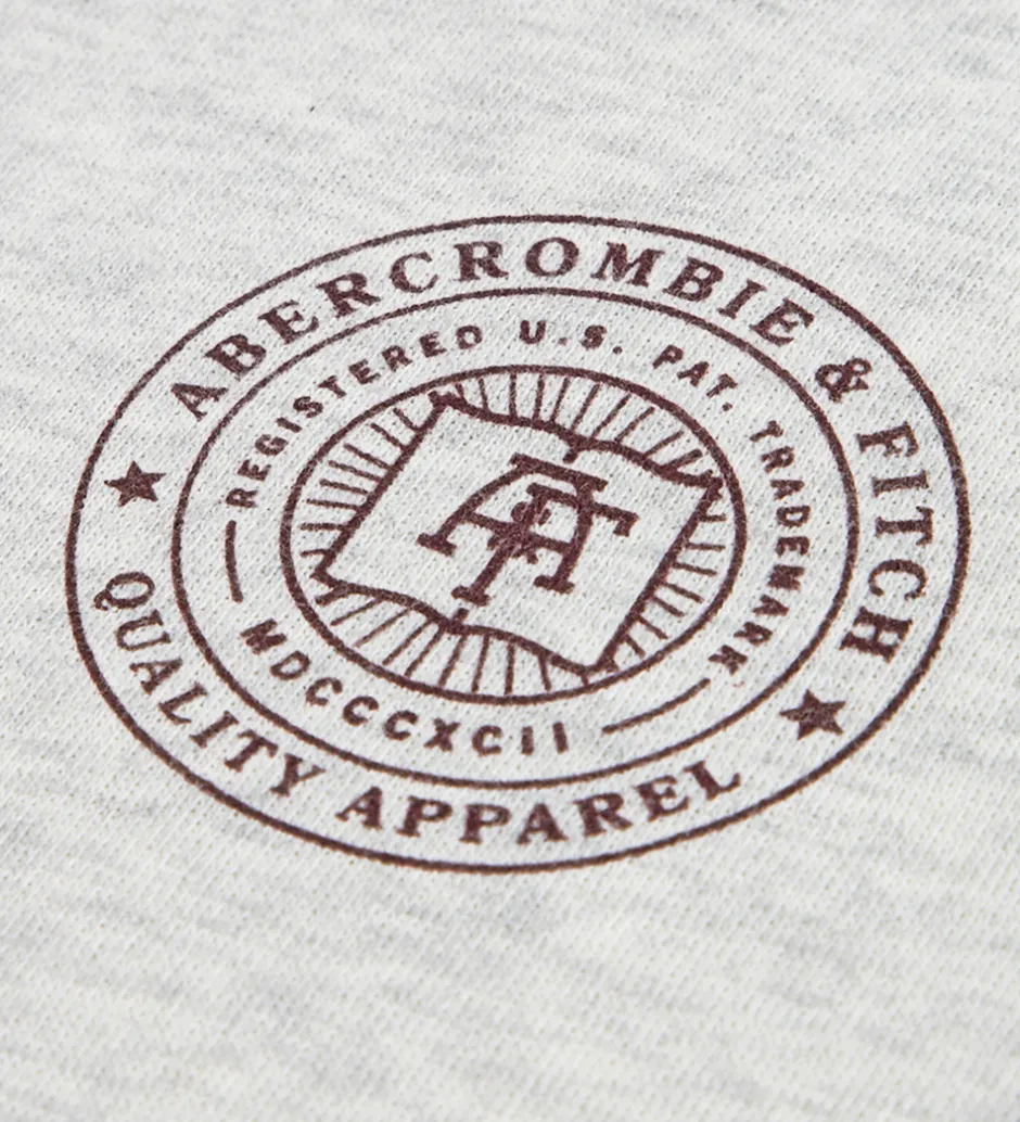 Børn Abercrombie & Fitch Hættetrøje - Lysegråmeleret m. Print