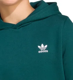 Hættetrøjer*adidas Originals adidas Originale Hættetrøje - Aurora Ivy