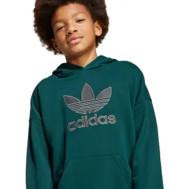 Hættetrøjer*adidas Originals Hættetrøje - Aurivy