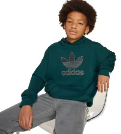 Hættetrøjer*adidas Originals Hættetrøje - Aurivy