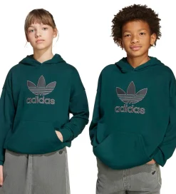 Hættetrøjer*adidas Originals Hættetrøje - Aurivy