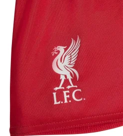 adidas Performance Fodboldsæt - Liverpool 25/26 Hjemmebane - Str