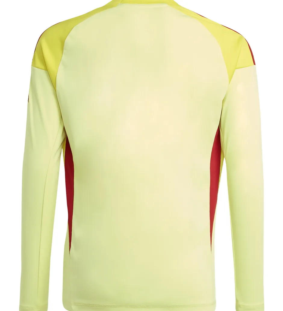adidas Performance Fodboldtrøje - AFC H GK - PULYEL/TEPORE