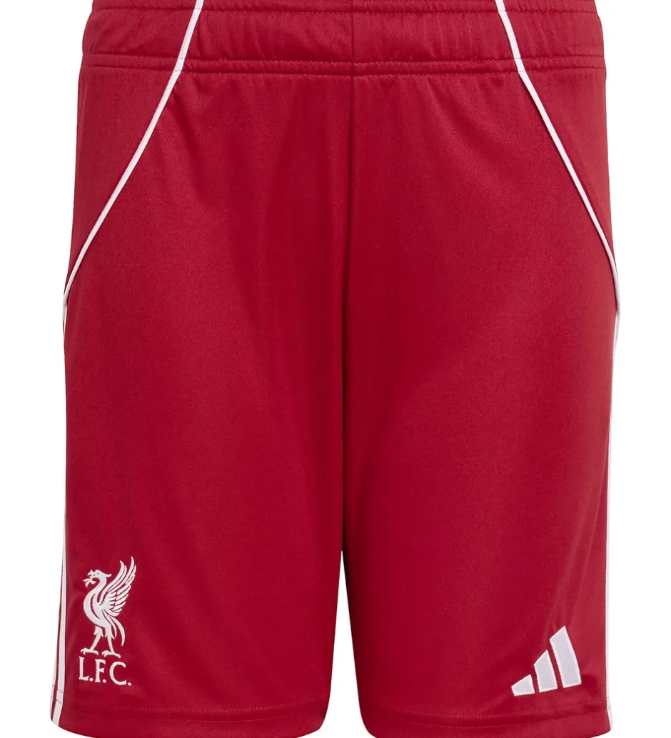 Børn adidas Performance Shorts - Liverpool 25/26 Hjemmebane - Strred
