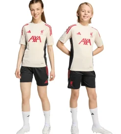 Fodboldshorts|Fodbold*adidas Performance Shorts - Liverpool - Sort