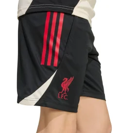 Fodboldshorts|Fodbold*adidas Performance Shorts - Liverpool - Sort