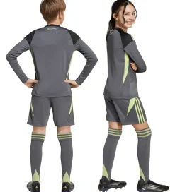 Børn adidas Performance Shorts - Manchester United - Grefiv