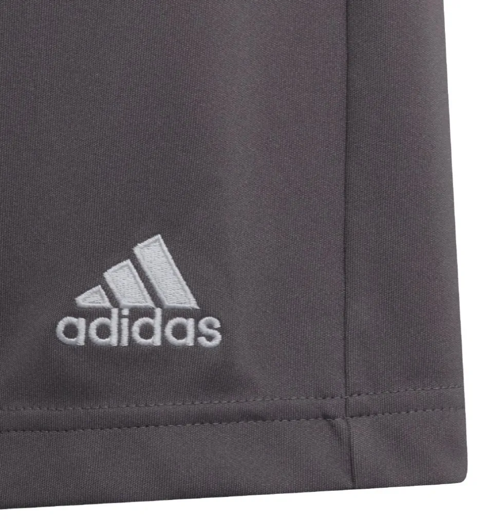 adidas Performance Shorts - Entrada 22 - Grå