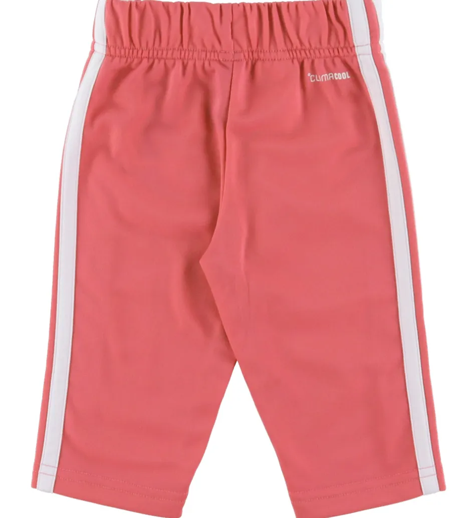 Træningssæt*adidas Performance Træningssæt - I 3S Tib TS - Trupnk/White/Pnkf