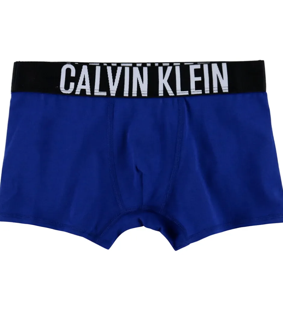 Børn Calvin Klein Boxershorts - 2-pak - Bold Blue/PVH Black