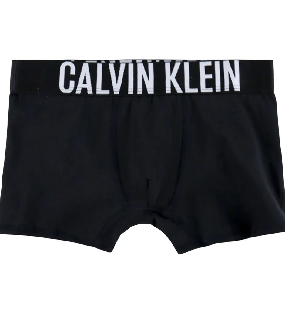Børn Calvin Klein Boxershorts - 2-pak - Bold Blue/PVH Black