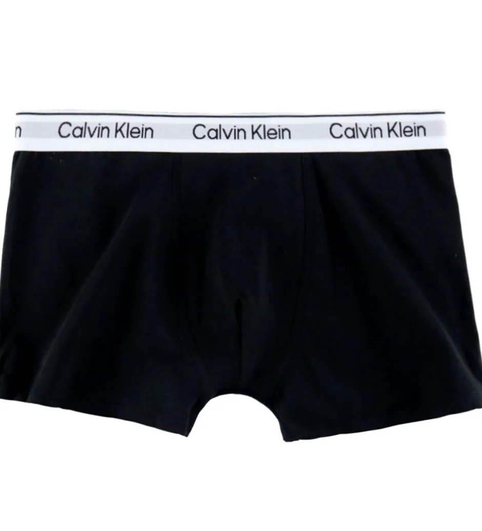 Undertøj*Calvin Klein Boxershorts - 2-pak - PVH Black/Black Iris