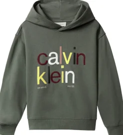 Hættetrøjer*Calvin Klein Hættetrøje - Color Logo - Thyme Green