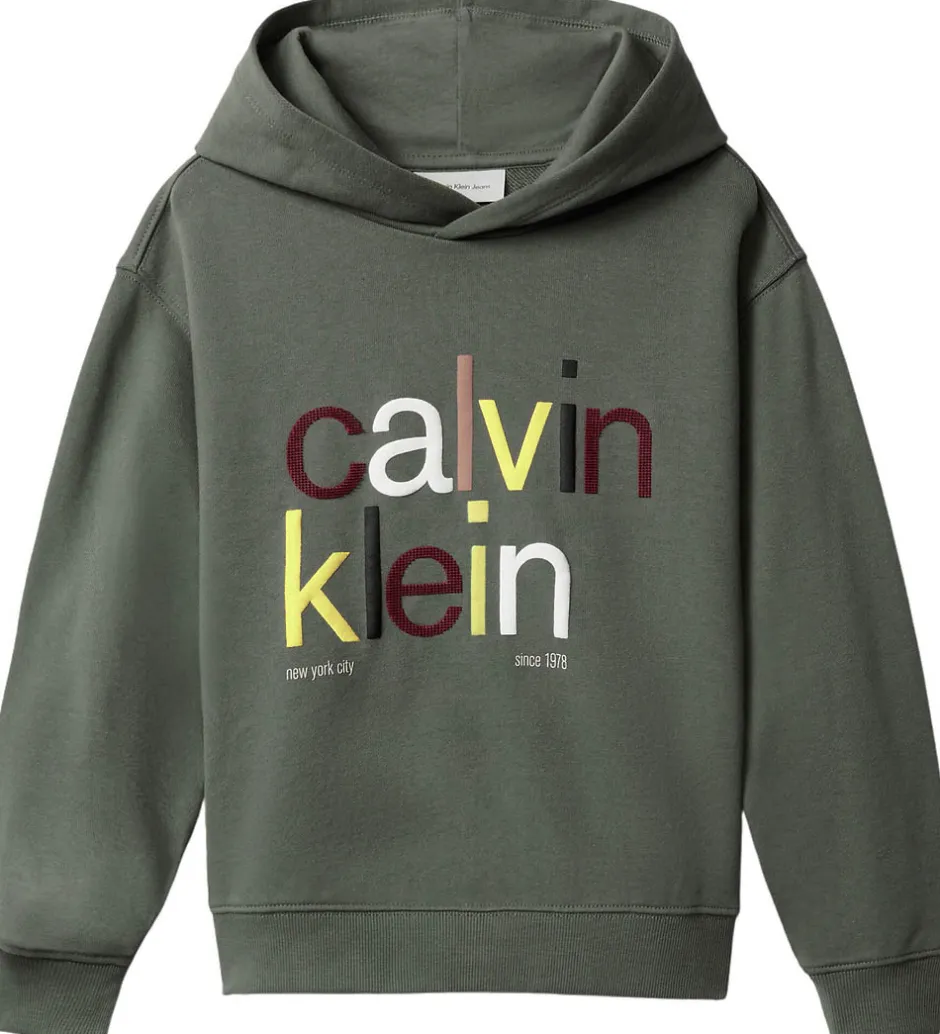 Hættetrøjer*Calvin Klein Hættetrøje - Color Logo - Thyme Green