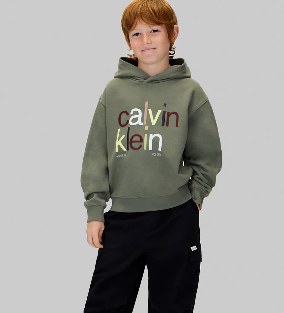 Hættetrøjer*Calvin Klein Hættetrøje - Color Logo - Thyme Green