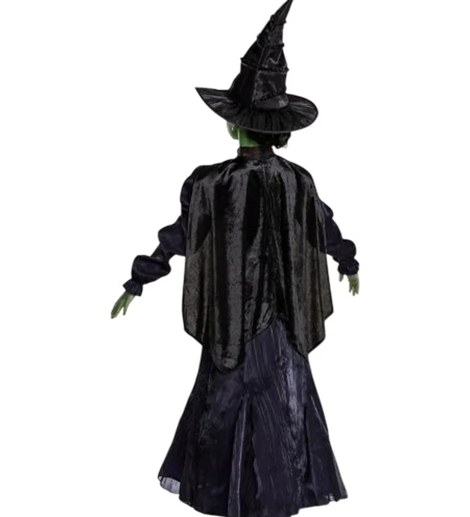 Disguise Udklædning - Wicked - Elphaba