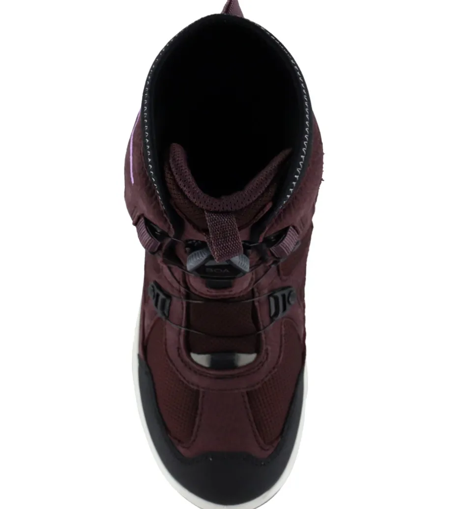 Ecco Vinterstøvler - Snow Mountain - Boa - Tex - Black/Fig