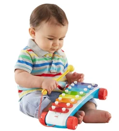 Musikinstrumenter*Fisher-Price Xylofon - Multifarvet