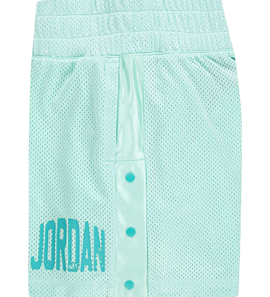 Sportsshorts*Jordan Shorts - Dri-Fit - Igloo m. Print