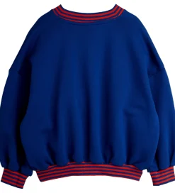 Børn Mini Rodini Sweatshirt - Striped Earth - Blå