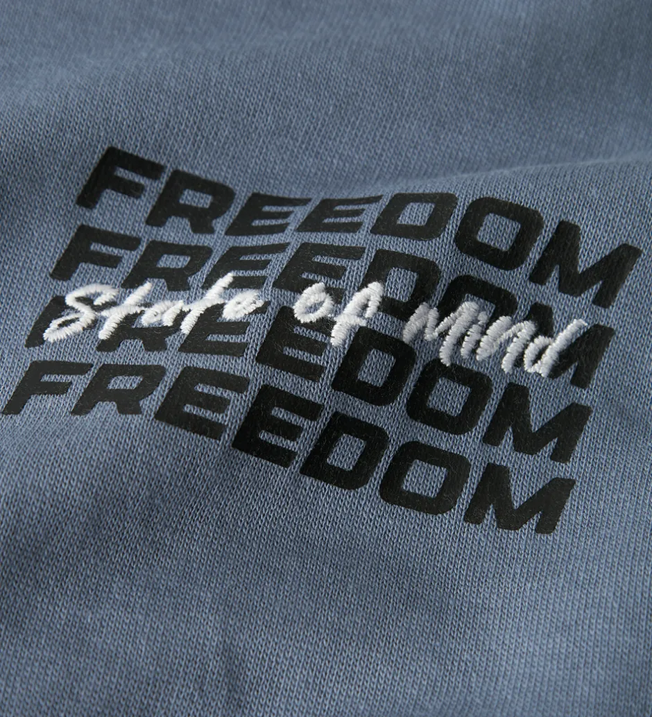 Børn Name It Sweatshirt - NkmSteve - Flint Stone