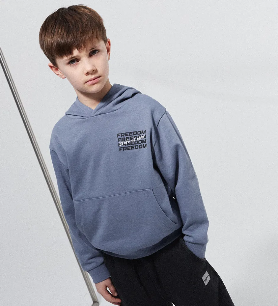 Børn Name It Sweatshirt - NkmSteve - Flint Stone