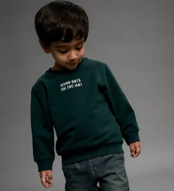 Børn Name It Sweatshirt - NmmSlade - Pine Grove
