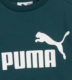 Træningssæt|Træning Og Gymnastik*Puma Sweatsæt - Minicats - Green Terrain m. Hvid